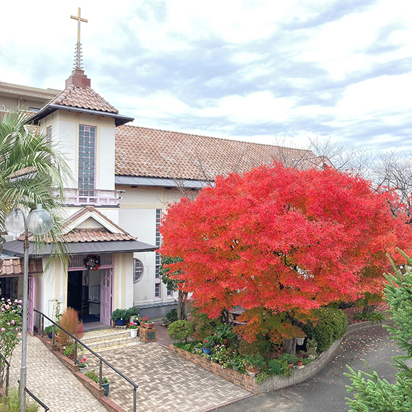 いにしえクラシック<br>～カトリック豊中教会で古楽器が奏でる本格派バロック音楽を楽しもう～